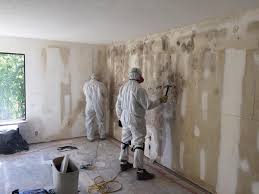 Best Comprehensive Air Testing for Mold Contaminants in Durand, IL